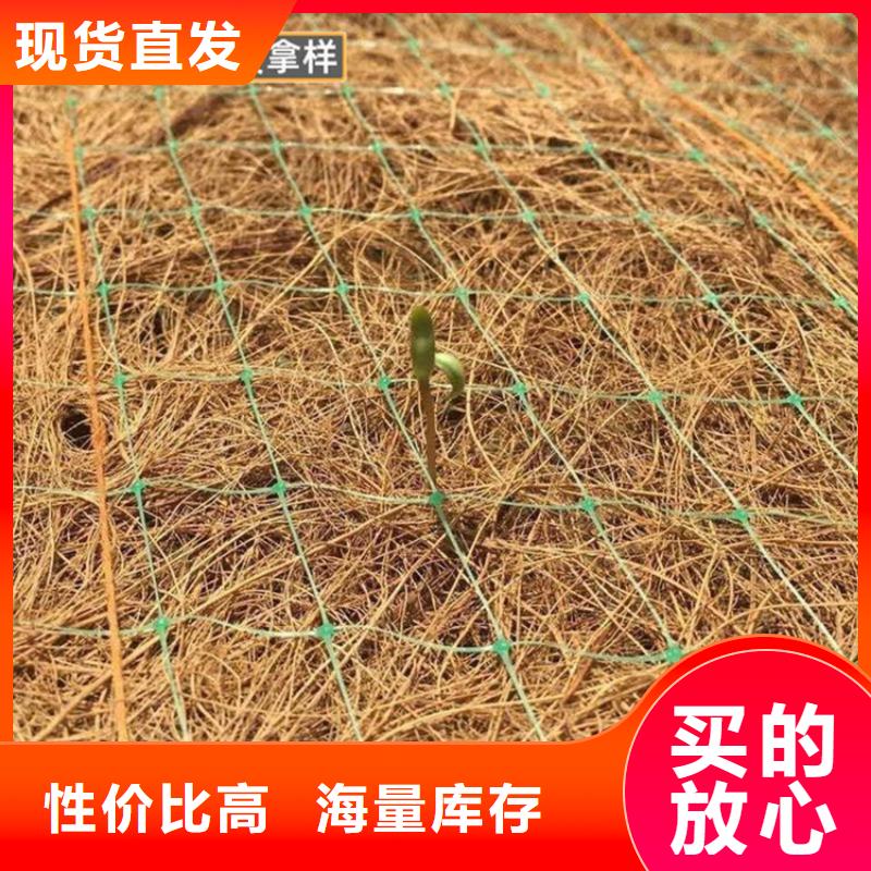 椰丝毯【通风降噪丝网】今年新款