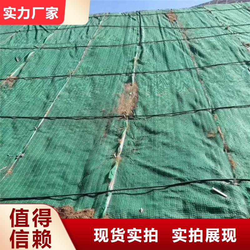 椰丝毯【生态袋】制造厂家