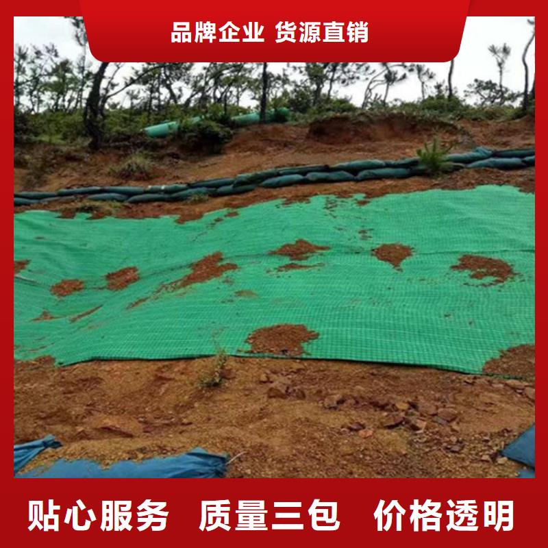 【 椰丝毯_土工布可定制】本地品牌