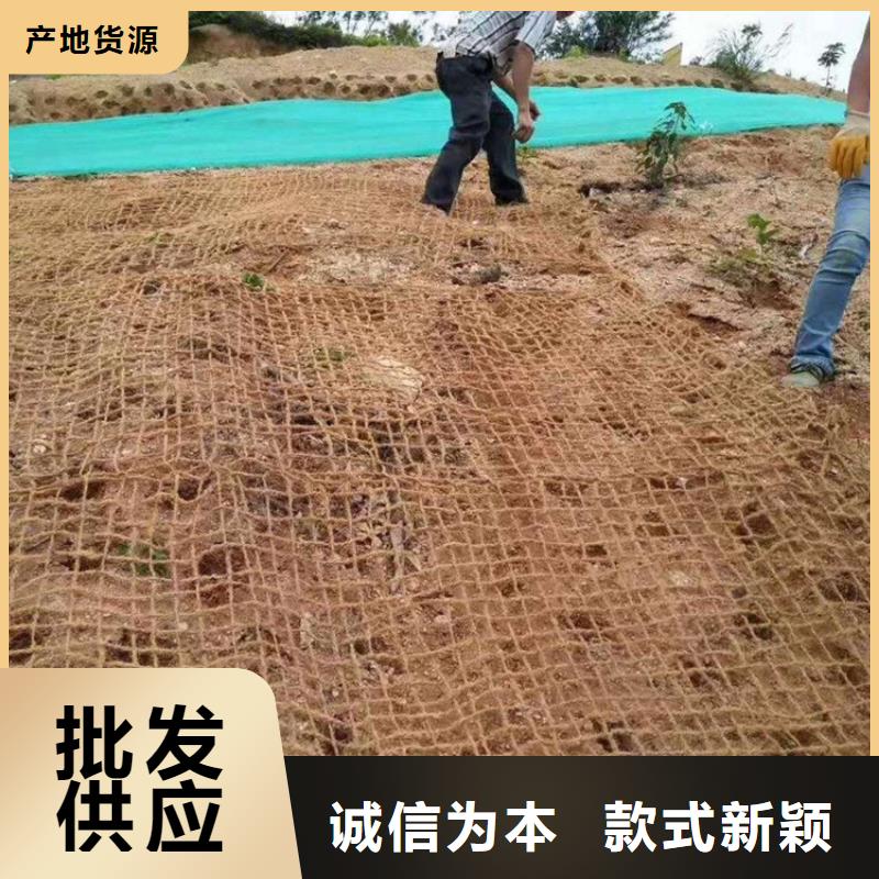 椰丝毯塑料排水板原厂制造