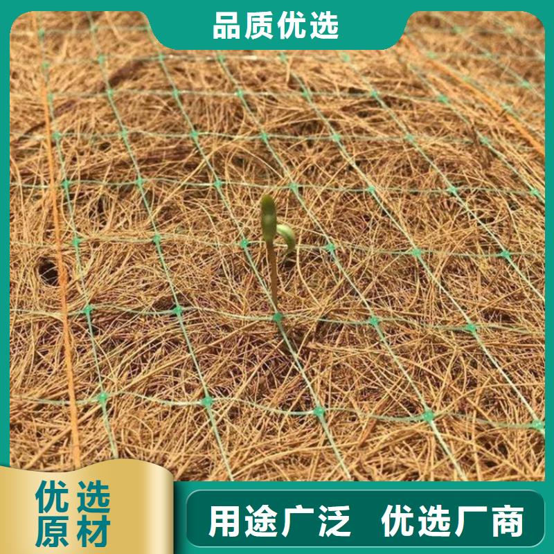 椰丝毯【植草格】极速发货