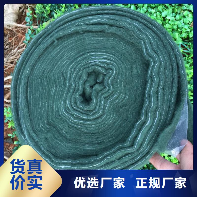 裹树布土工布质量看得见