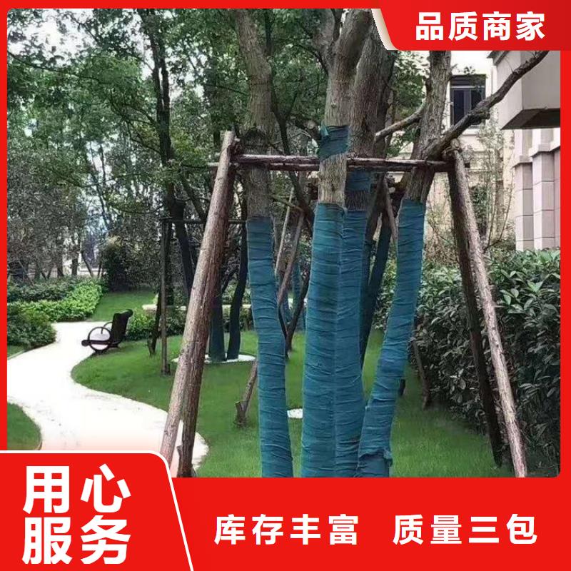 裹树布防渗土工膜一致好评产品