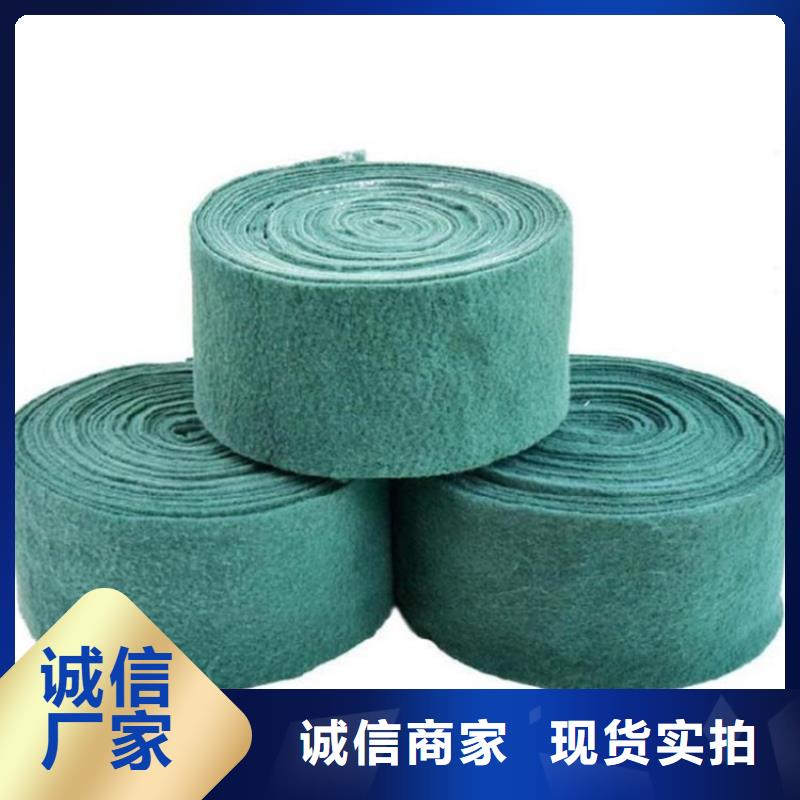 裹树布土工布好品质选我们