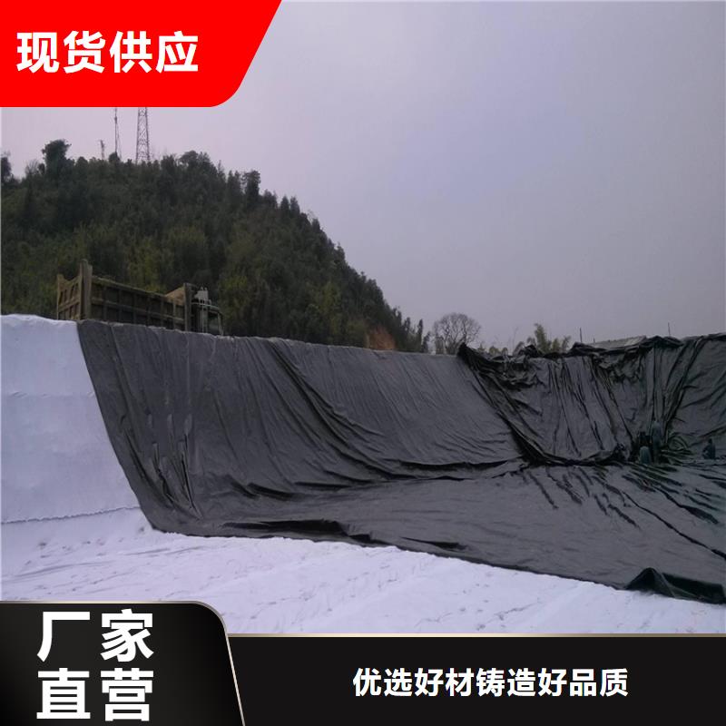 【土工膜_止水条用心做品质】