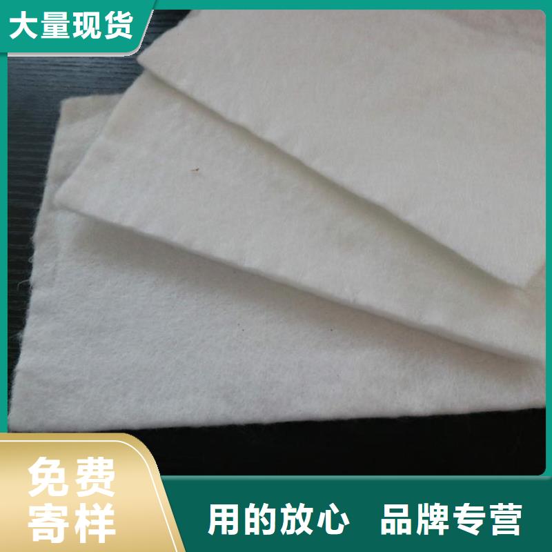 土工布【钢塑土工格栅】诚信为本