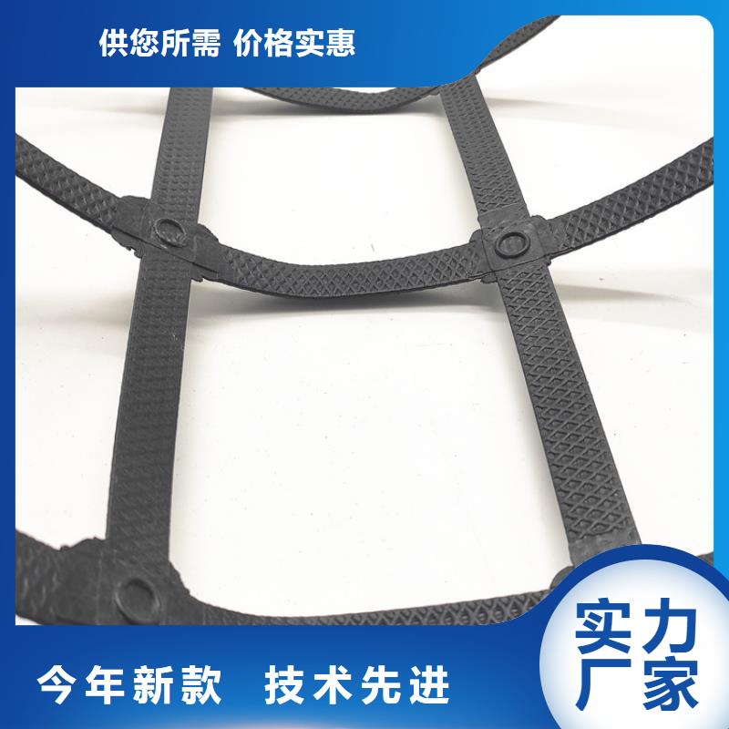 土工格栅_矿用阻燃网选择我们没错