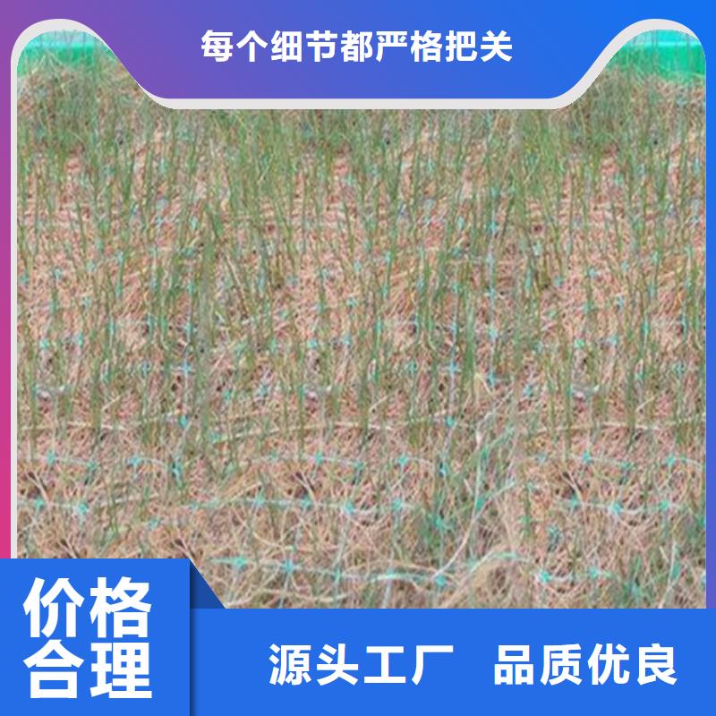 椰丝毯土工格室多种款式可随心选择