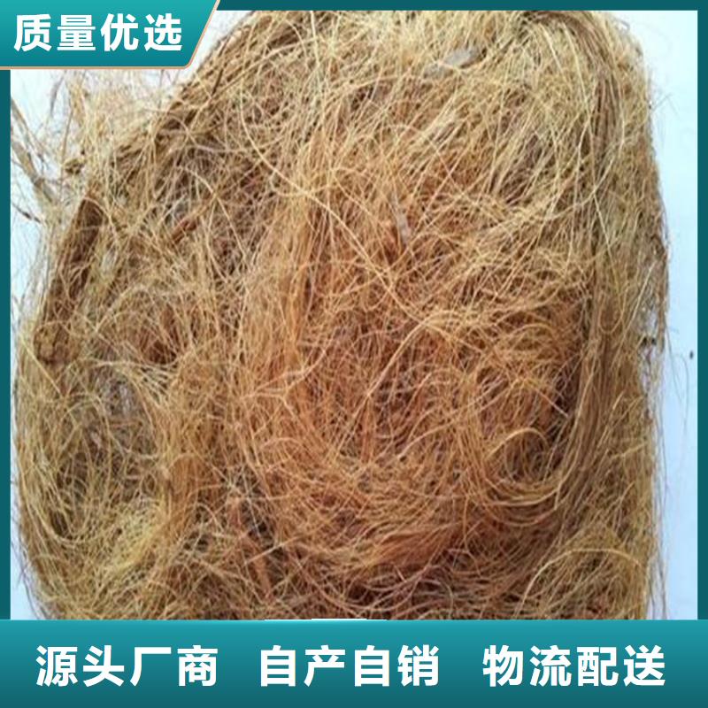 椰丝毯_防渗膜品质保证实力见证