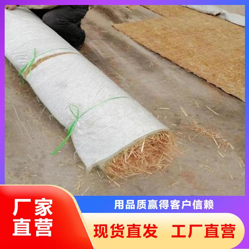 椰丝毯土工格栅按需定做