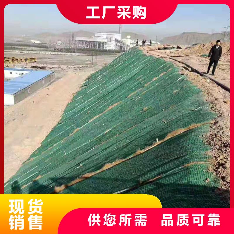 椰丝毯 防渗膜快速报价