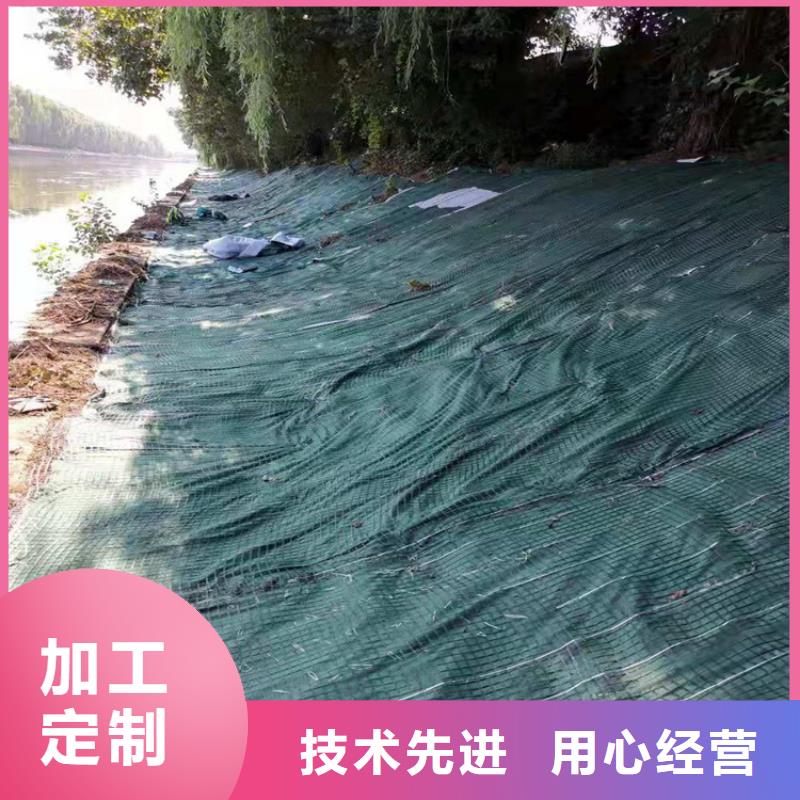 【椰丝毯双向土工格栅按需设计】