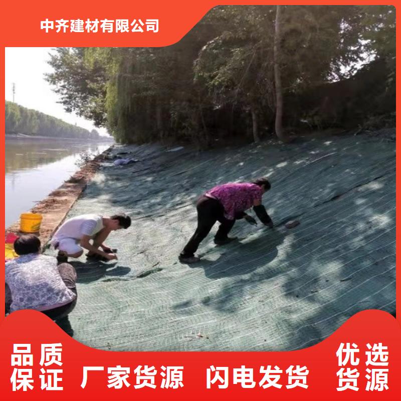 椰丝毯双向塑料土工格栅高质量高信誉