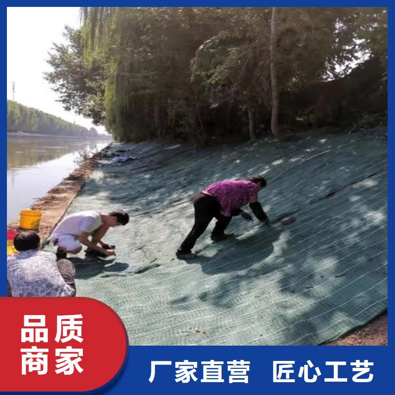 椰丝毯双向塑料土工格栅懂您所需