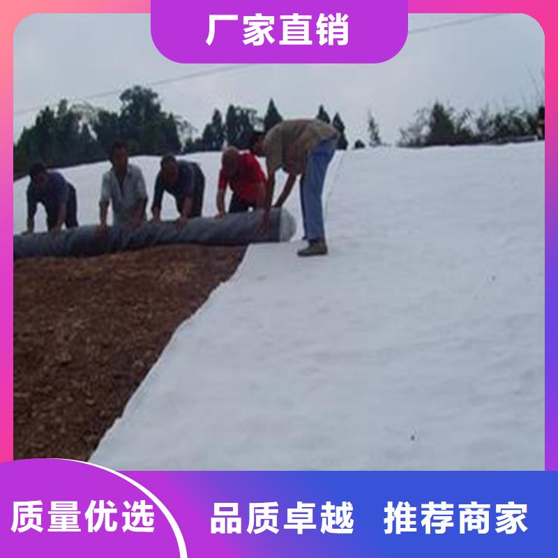 膨润土防水毯土工格栅不断创新