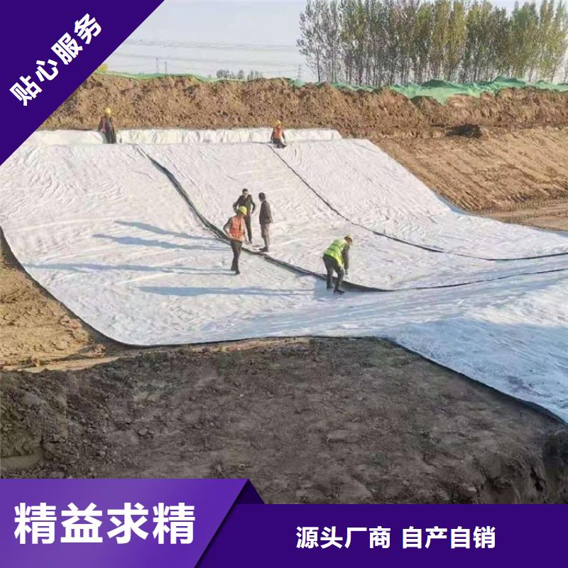 膨润土防水毯土工格栅不断创新