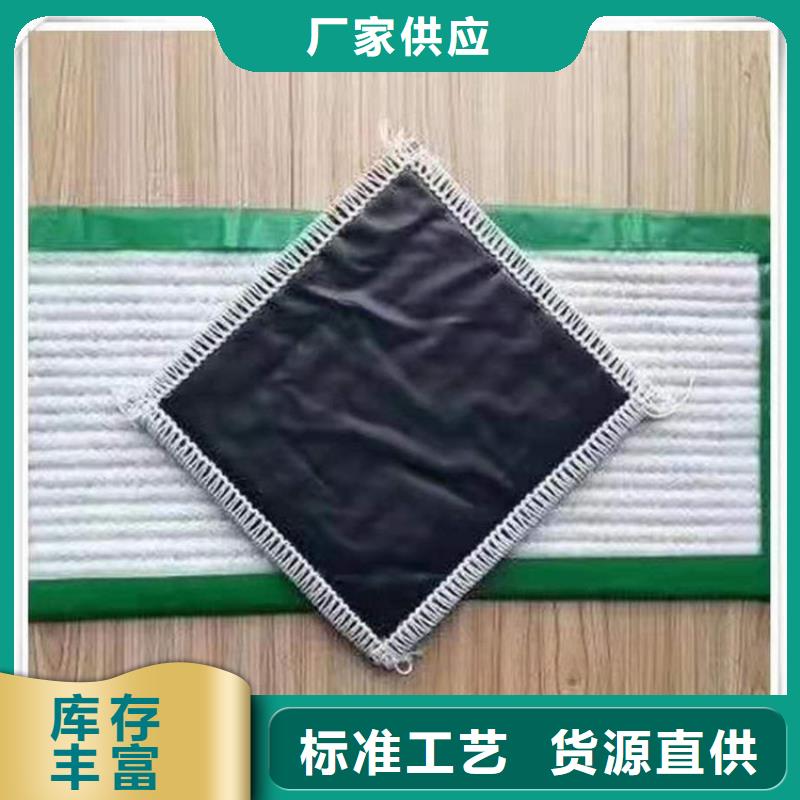 【膨润土防水毯】双向塑料土工格栅不断创新