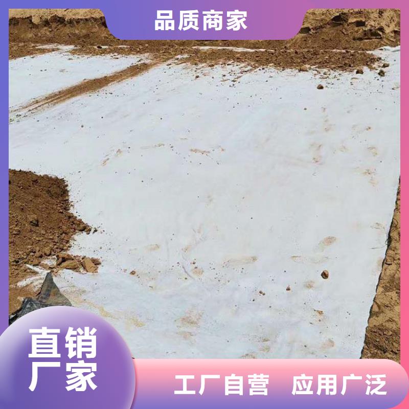 【膨润土防水毯】双向塑料土工格栅支持大批量采购