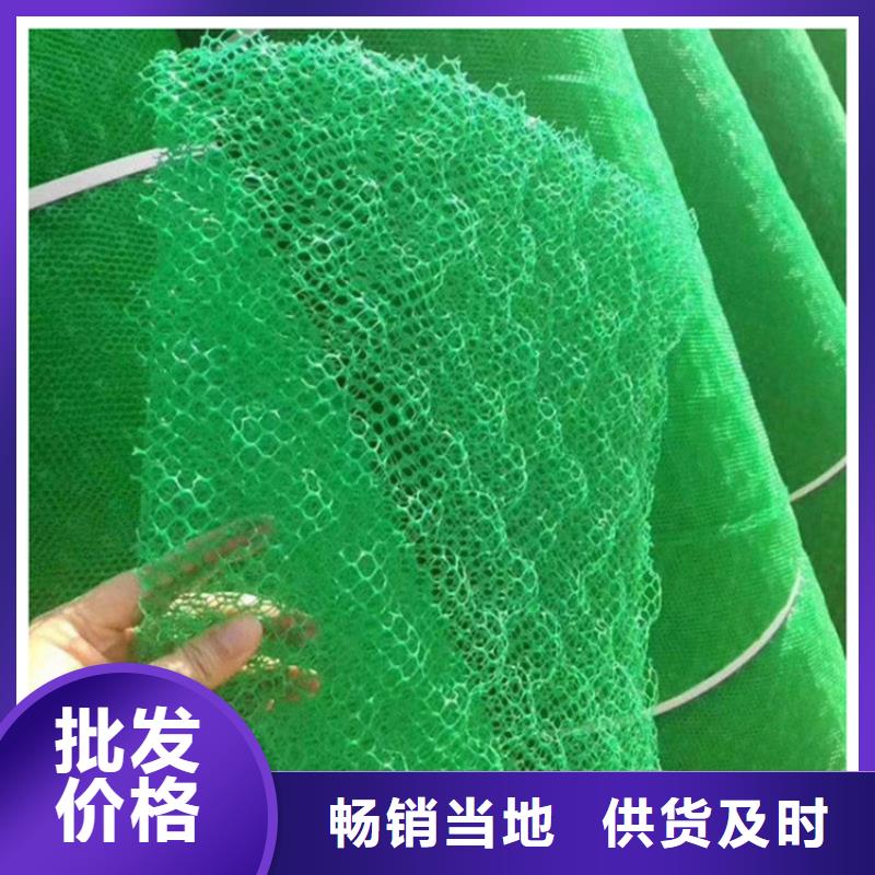 三维植被网止水条订购