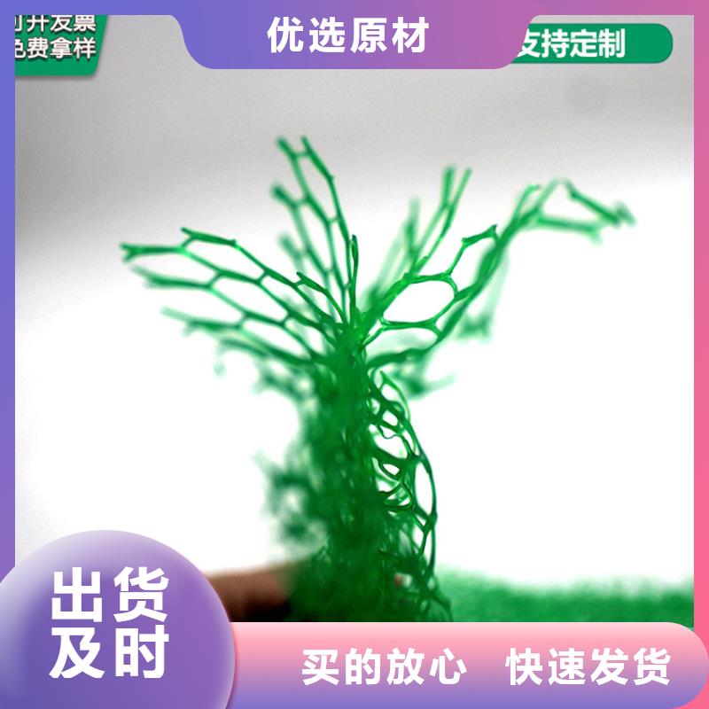 三维植被网【土工格室】免费回电