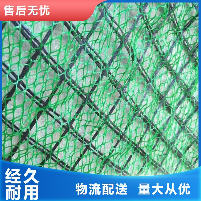 【三维植被网【土工格室】厂家定制】