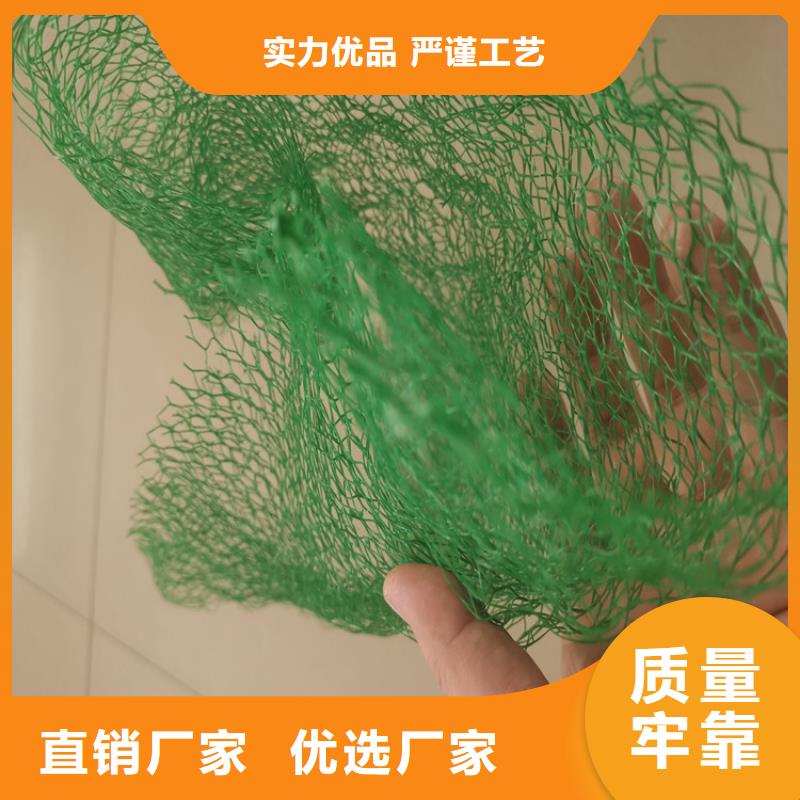 三维植被网玻纤格栅现货快速采购