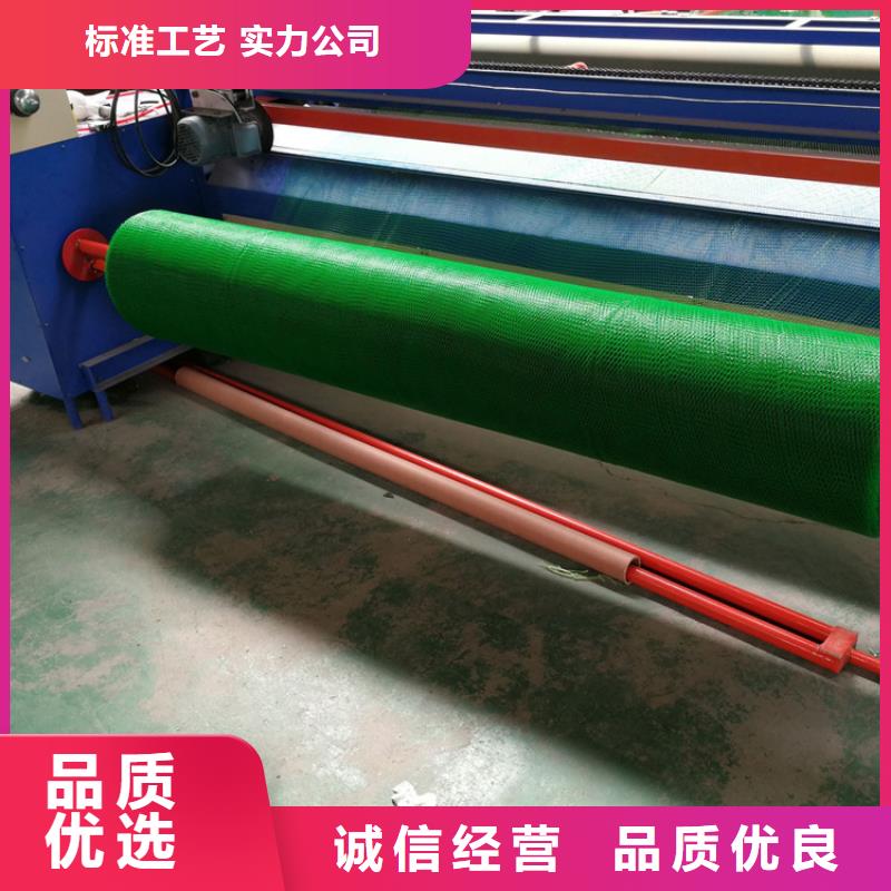 三维植被网止水条高质量高信誉