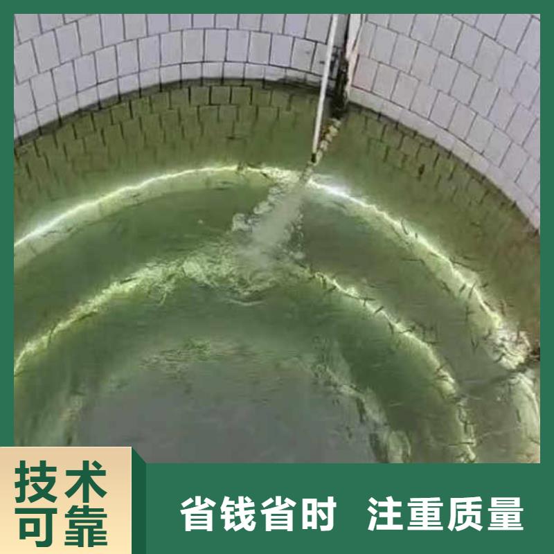 水下施工水下爆破一站式服务