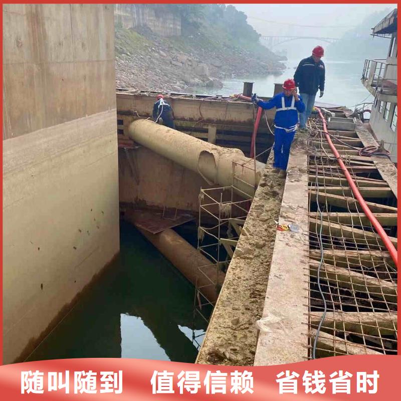 潜水员服务本地潜水搜索团队正规团队