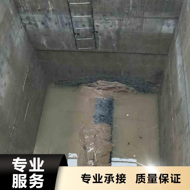 潜水员服务,水下机器人快速