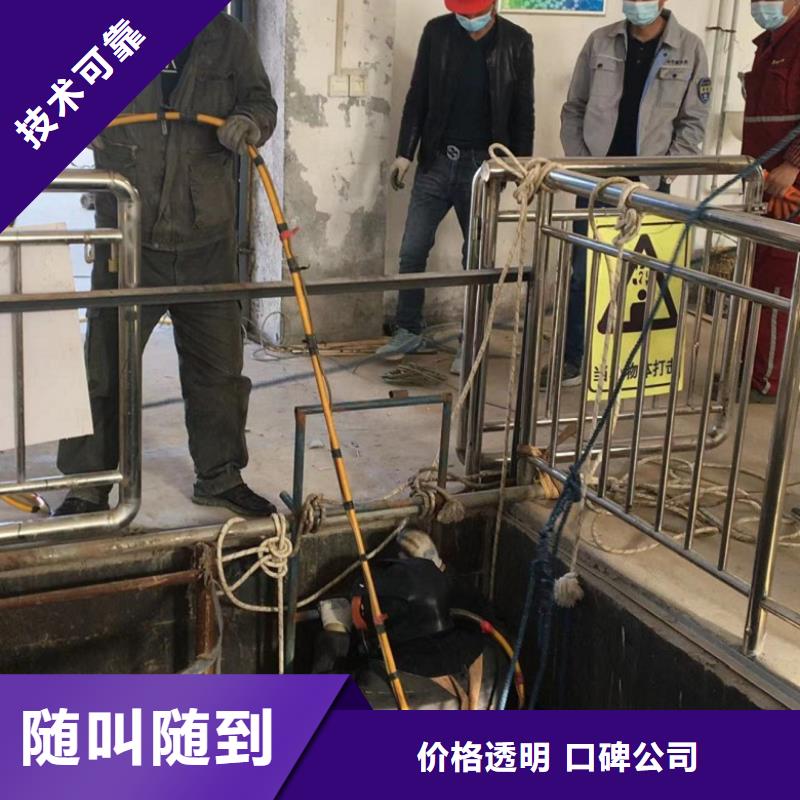 水下探摸工程视频-水下探摸工程-西藏山南市(本地)服务商-加查|洛扎|昌都|日喀则|拉萨|林芝|那曲|阿里
