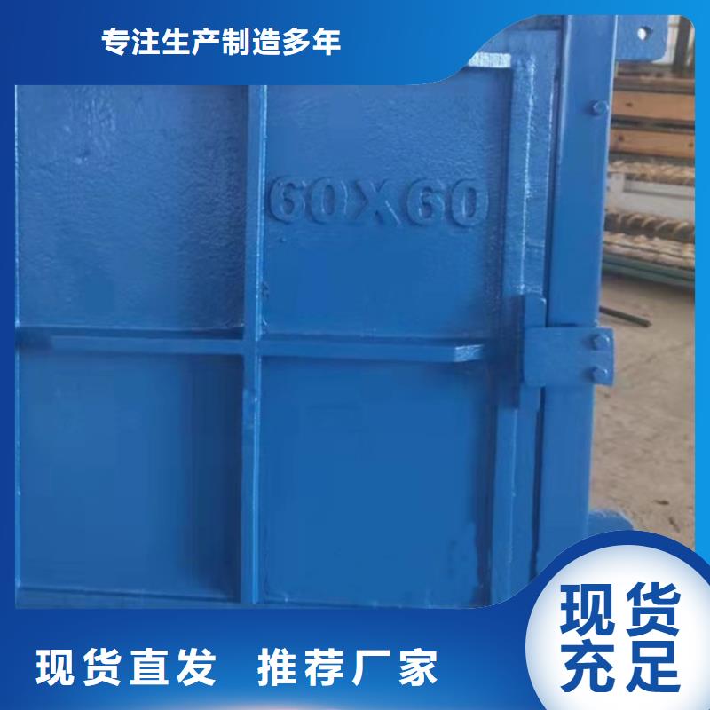 铸铁镶铜闸门多少钱