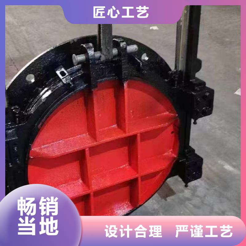 平板铸铁闸门多少钱