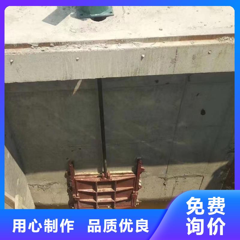 双向镶铜铸铁闸门多种规格