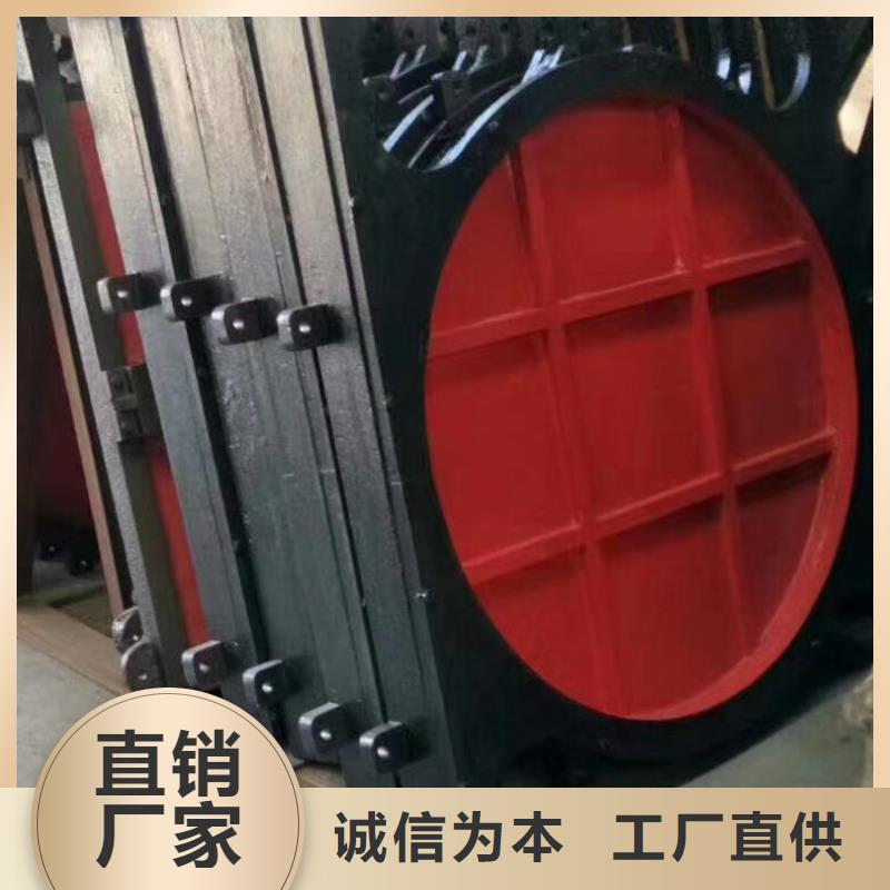 双向镶铜铸铁闸门多种规格
