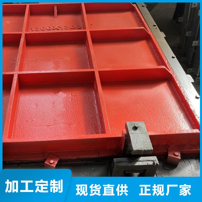 机门一体闸门结实耐用