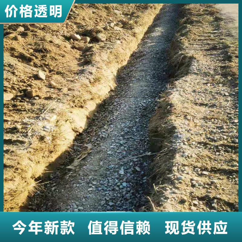 供应批发打孔排水盲管-保质