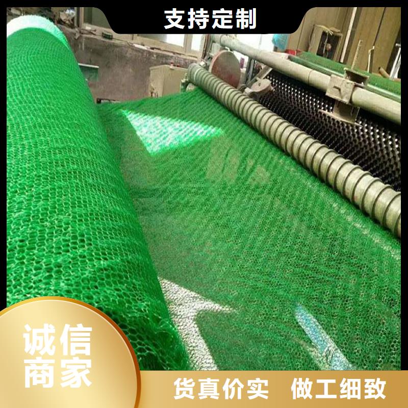 【三维植被网】紫铜止水片厂家出货及时