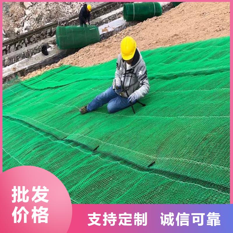 【三维植被网】紫铜止水片厂家出货及时