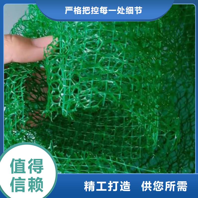 三维植被网【止水铜片】现货交易