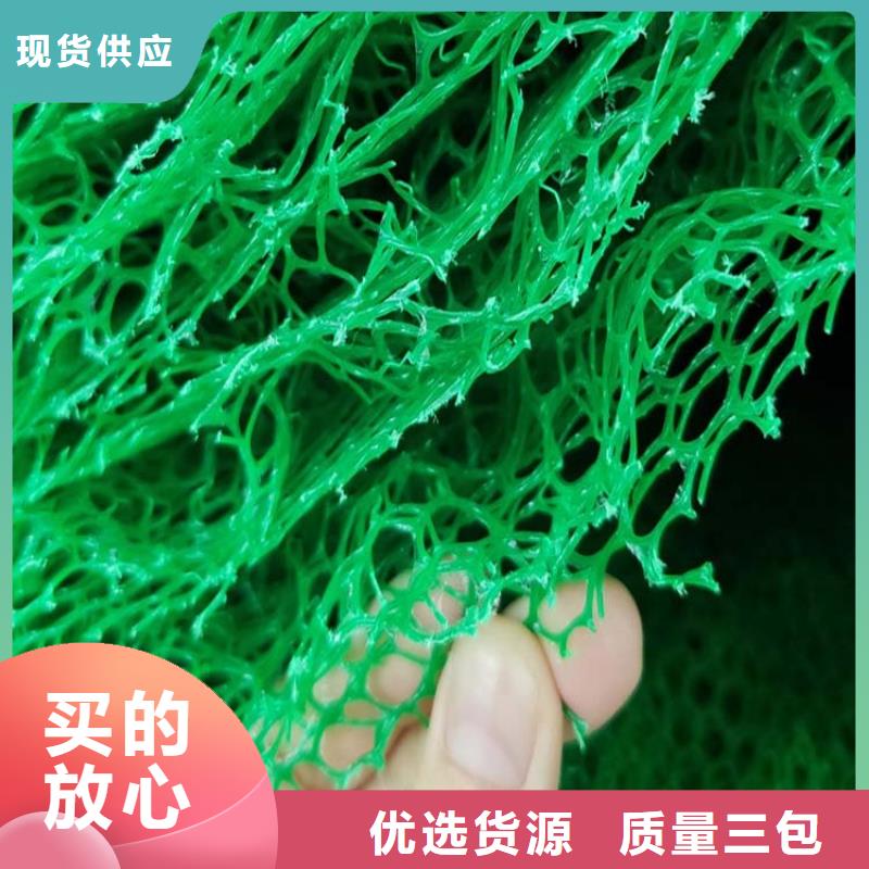 【三维植被网】土工格栅老客户钟爱