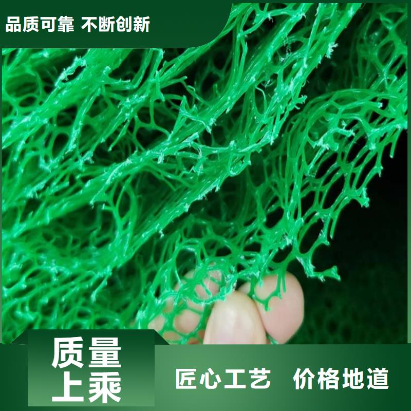 三维植被网-沥青麻绳从厂家买售后有保障