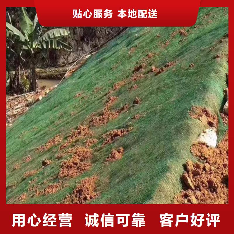 三维植被网钢纤维品牌企业