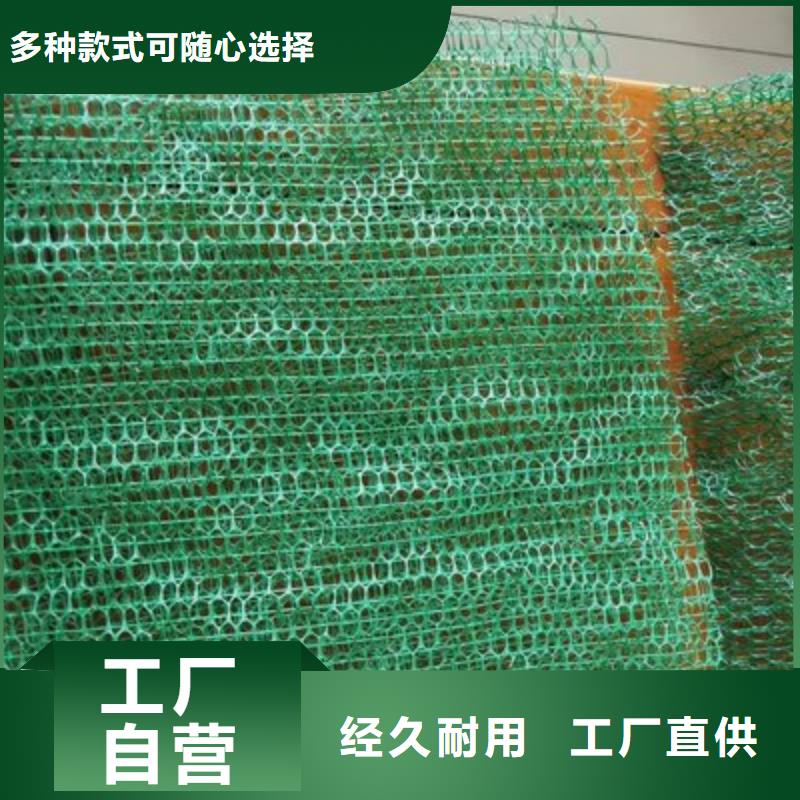 三维土工网植草厂家-找金鸿耀工程材料有限公司