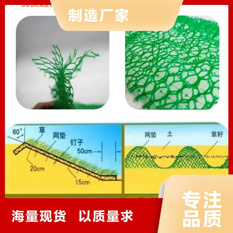 三维植被网剪切钢纤维专业生产团队