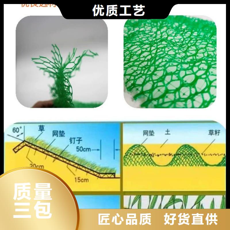 三维植被网土工布热销产品