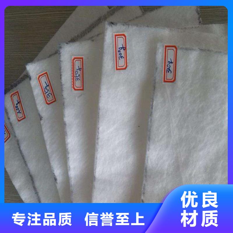 土工布【聚乙烯醇纤维】品牌大厂家