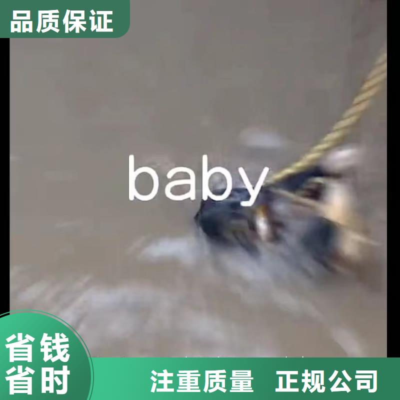 水下安装蛙人施工全市24小时服务