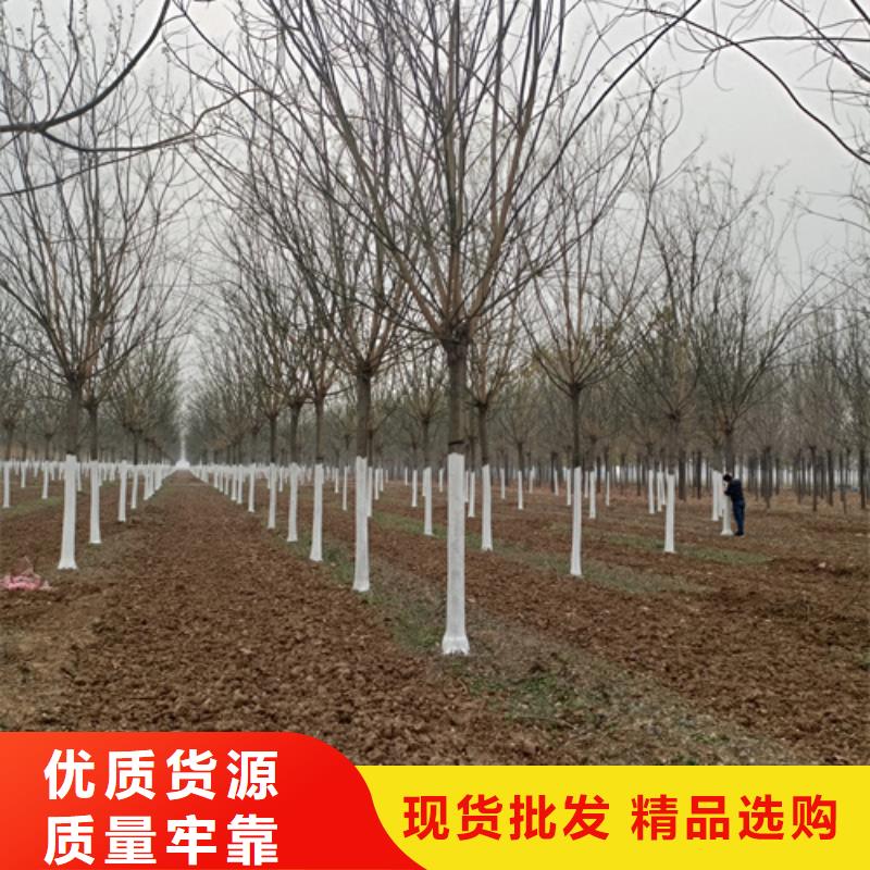截杆发帽视频-山西省晋中市翌昊截杆发帽可服务区域祁县|和顺|长治|临汾|运城|阳泉|大同|吕梁等
