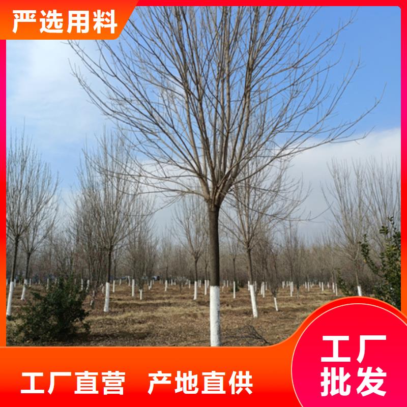 截杆发帽-视频-截杆发帽(翌昊)覆盖地域山西省晋中市灵石|左权|运城|太原|忻州|吕梁|临汾